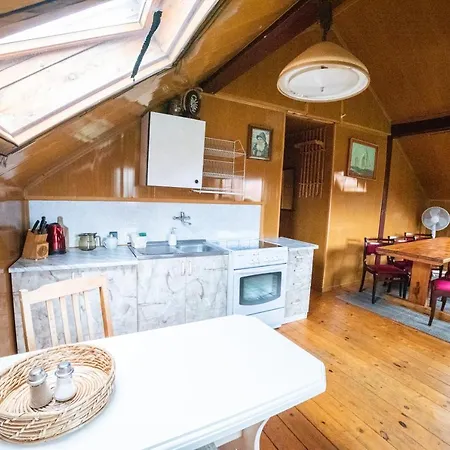 U Michala - Dom Pod Lasem