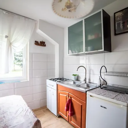 U Michala - Dom Pod Lasem Σπίτι διακοπών *