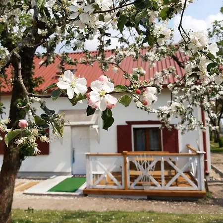 U Michala - Dom Pod Lasem