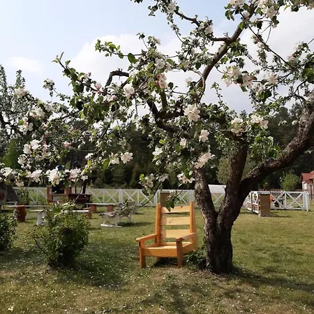 U Michala - Dom Pod Lasem