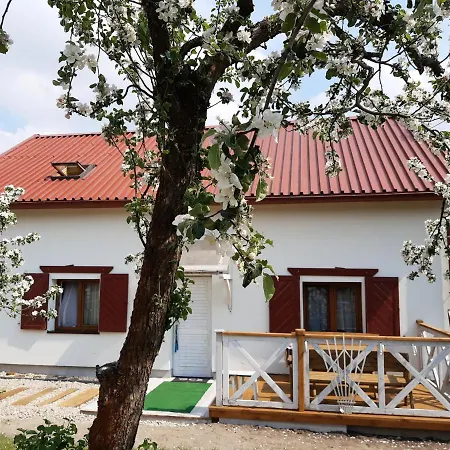 U Michala - Dom Pod Lasem * Jagodne Wielkie