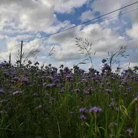 Σπίτι διακοπών U Michala - Dom Pod Lasem *